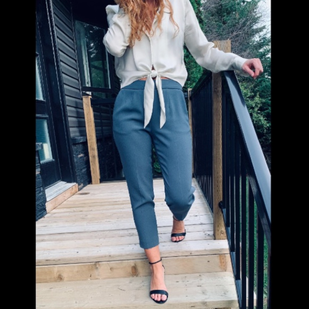 Aritzia Babaton Conan Pant